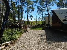 Titled RV Lots 4% financing Deep Woods RV Campground - Photo 9