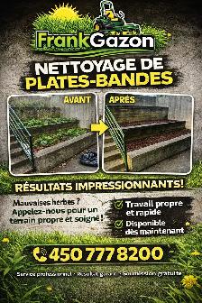 Tonte de Gazon - Photo 3
