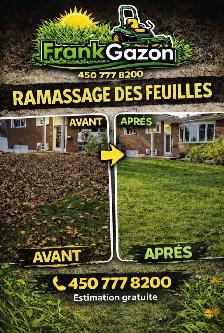 Tonte de Gazon - Photo 5