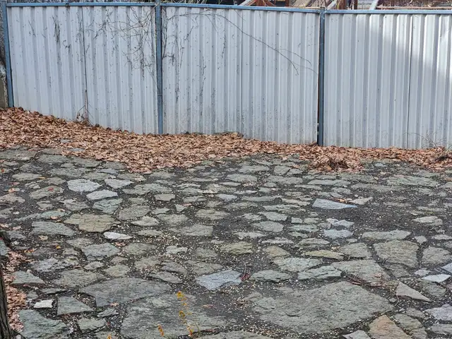 Ramassage de feuilles de jardin