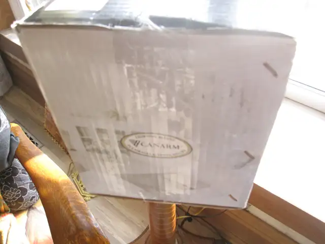 NEW 42'INCH CANARM CEILING FAN WITH 3 LIGHTS FWD & REV - Photo 3