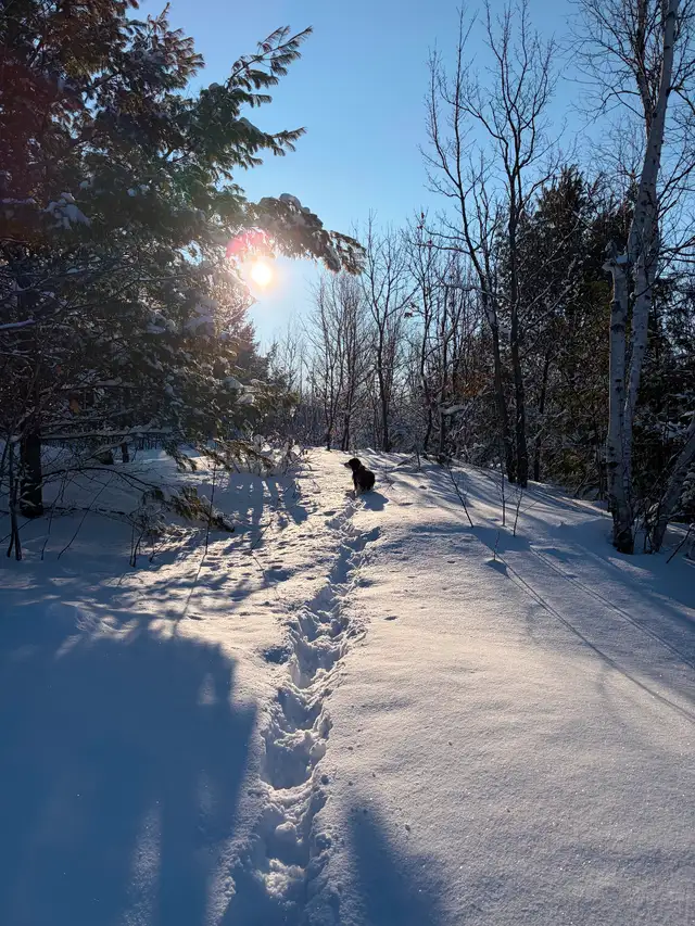 5 Acres on Long Lake Road