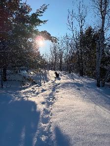 5 Acres on Long Lake Road