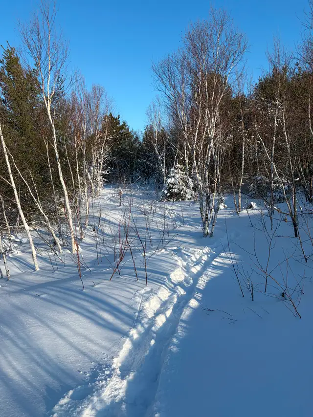 5 Acres on Long Lake Road - Photo 2