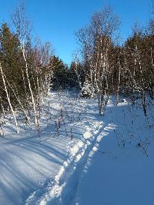 5 Acres on Long Lake Road - Photo 2