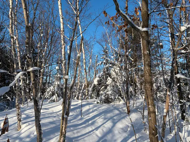 5 Acres on Long Lake Road - Photo 3