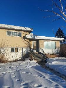 Room for Rent Near SAIT UoC LRT Student Downtown