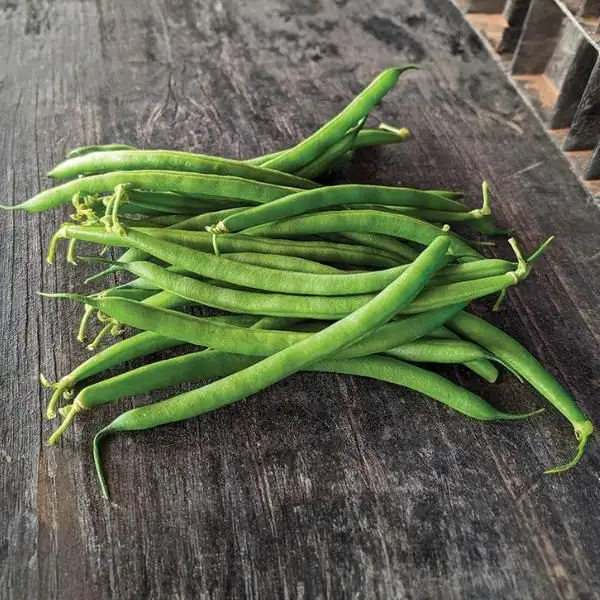 SEMENCES À VENDRE    ‍ - Photo 5