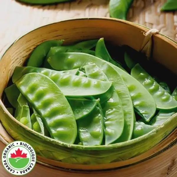 SEMENCES À VENDRE    ‍ - Photo 6