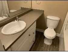 IN LAW SUITE Separate entrance 2 bedroom 1200sq/ft basement apar - Photo 8
