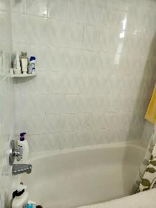 House for Rent (Main Floor) Kennedy Station - Photo 8