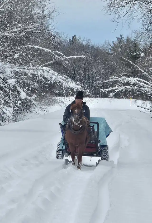 poney 6 ans - Photo 2