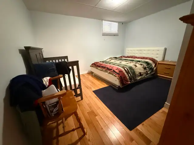 Live on the Glebe avenues - June 1 - 2 bed bsmt - Photo 4