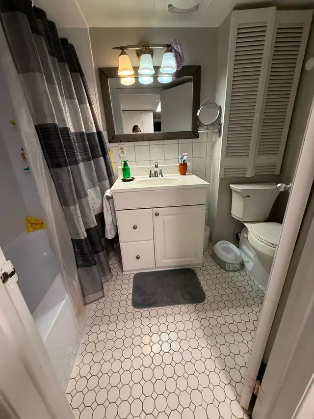 Live on the Glebe avenues - June 1 - 2 bed bsmt - Photo 8