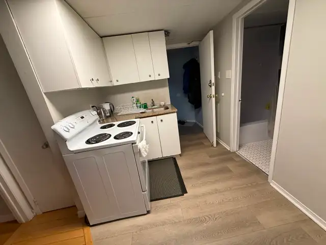 Live on the Glebe avenues - June 1 - 2 bed bsmt - Photo 9