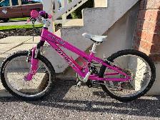 20' Kids Specialized Hotrock bike (pink)