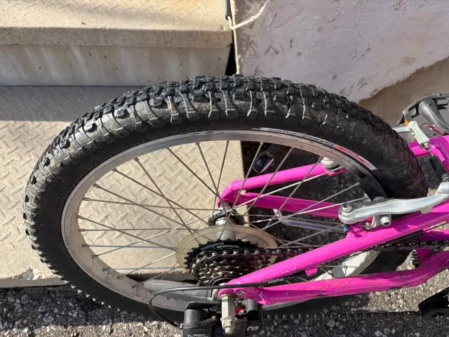 20' Kids Specialized Hotrock bike (pink) - Photo 3