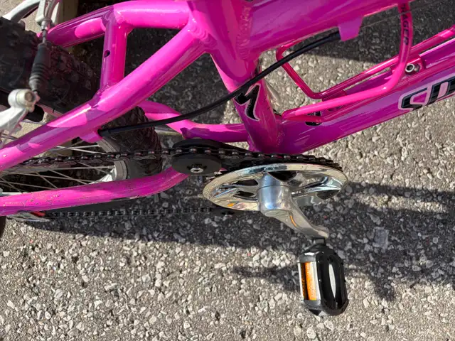 20' Kids Specialized Hotrock bike (pink) - Photo 5