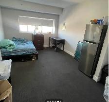 Student room sublet at University of  Waterloo/Wilfrid Laurier U - Photo 3