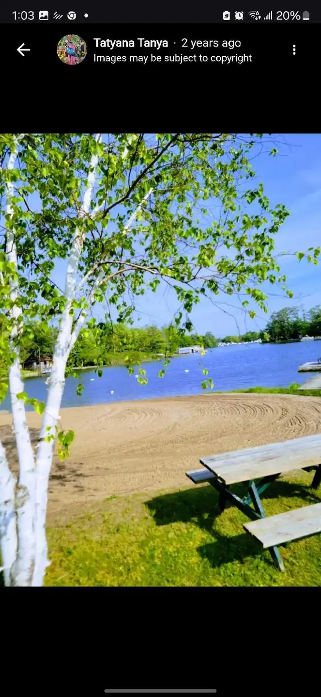 Muskoka trailer/cottage, water lot, 2 docks, shared beach, pool - Photo 8