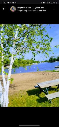 Muskoka trailer/cottage, water lot, 2 docks, shared beach, pool - Photo 8