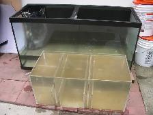 FOR SALE 90 GALLON TANK, SUMP FILTER, CABINET STAND $250