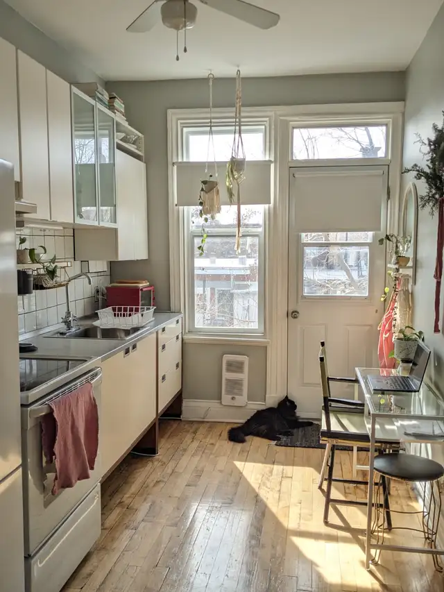 Beau 3 ½ à aire ouverte - Quartier Rosemont - Photo 4