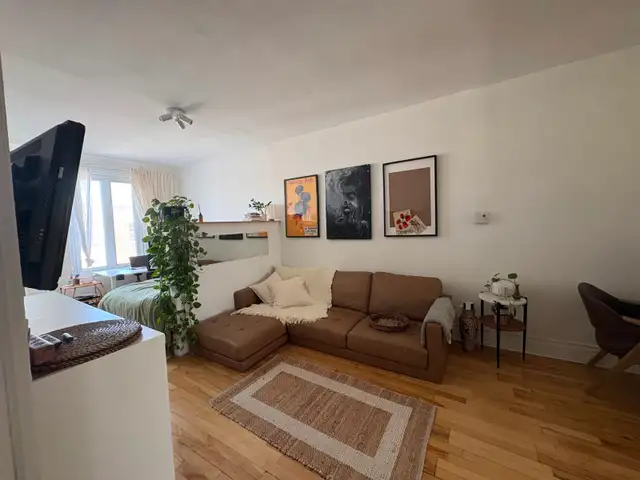 Beau 3 ½ à aire ouverte - Quartier Rosemont - Photo 7