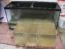 FOR SALE 90 GALLON TANK, STAND, SUMP FILTER $250