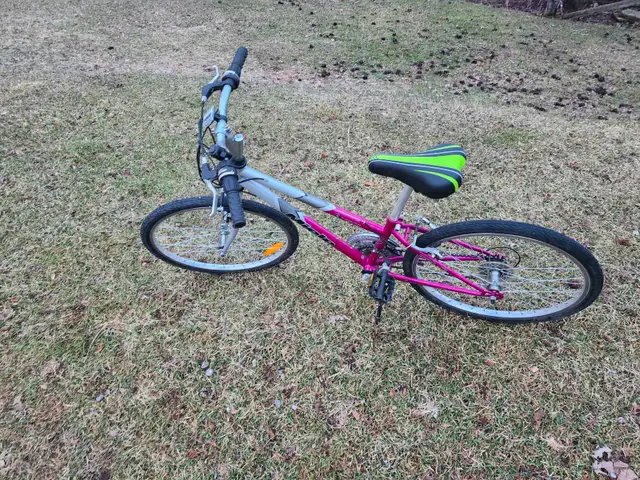 Girls Mountain Bike For Sale