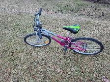Girls Mountain Bike For Sale