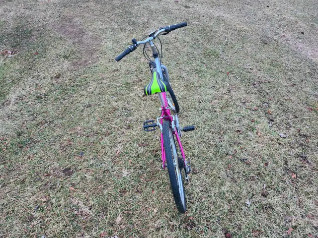 Girls Mountain Bike For Sale - Photo 2