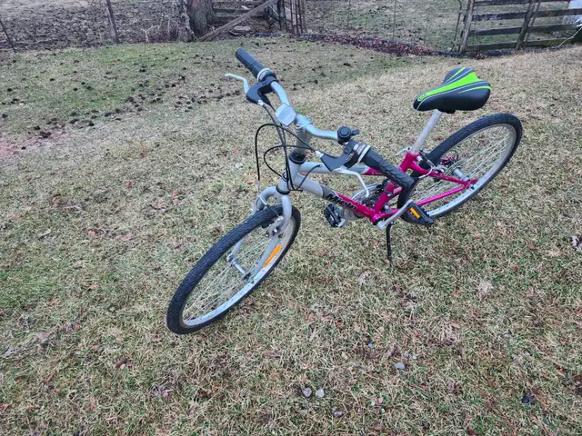 Girls Mountain Bike For Sale - Photo 4