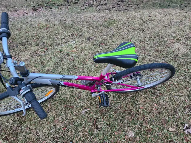 Girls Mountain Bike For Sale - Photo 5
