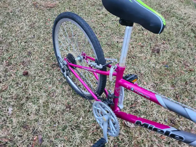 Girls Mountain Bike For Sale - Photo 10