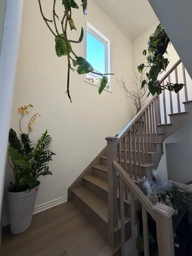 private room for rent - Photo 6