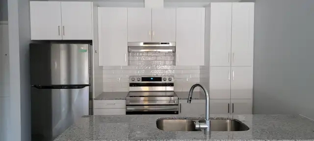 1 & 2 BED APT RUSSELL - 2 MTHS FREE RENT - Photo 3