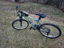 Adult Mountain Bike For Sale