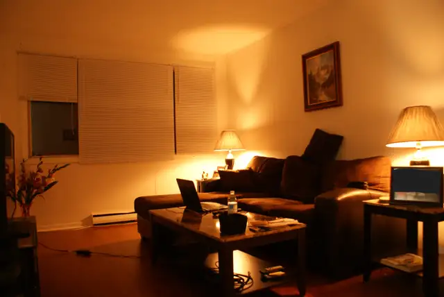 Large 1 Bedroom Apartment on 1617 Lincoln Road - Photo 4