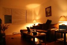 Large 1 Bedroom Apartment on 1617 Lincoln Road - Photo 4