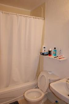 Large 1 Bedroom Apartment on 1617 Lincoln Road - Photo 9