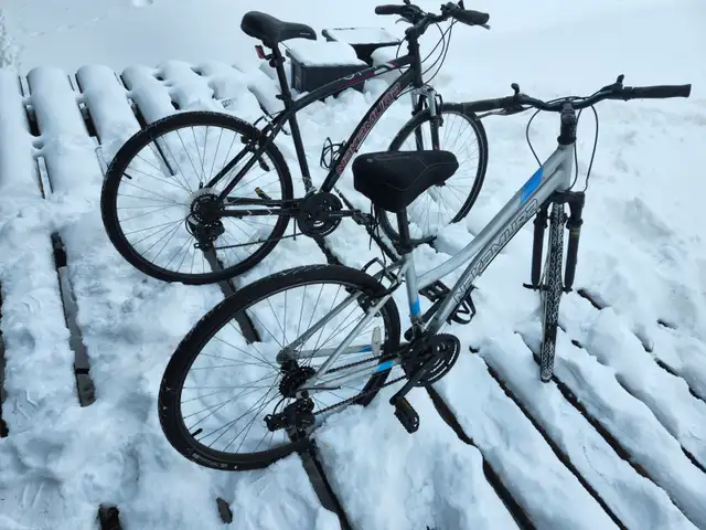 Adult Commuter Bikes For Sale - Photo 3