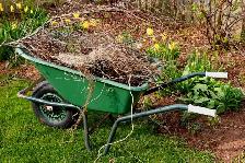 GENERAL LABOUR  - I CAN WORK FOR $15 PER HOUR SUNDAY