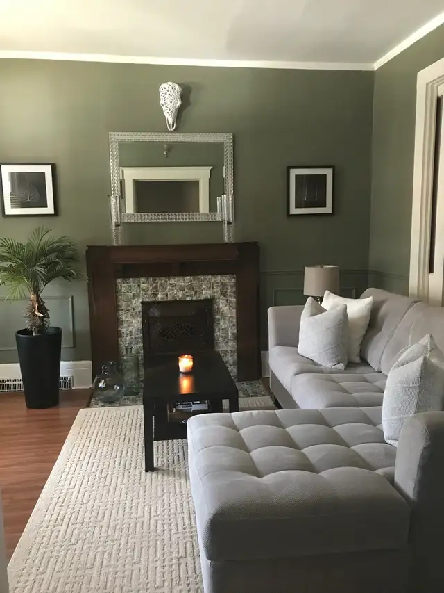 Large One Bedroom plus Den in Century Home