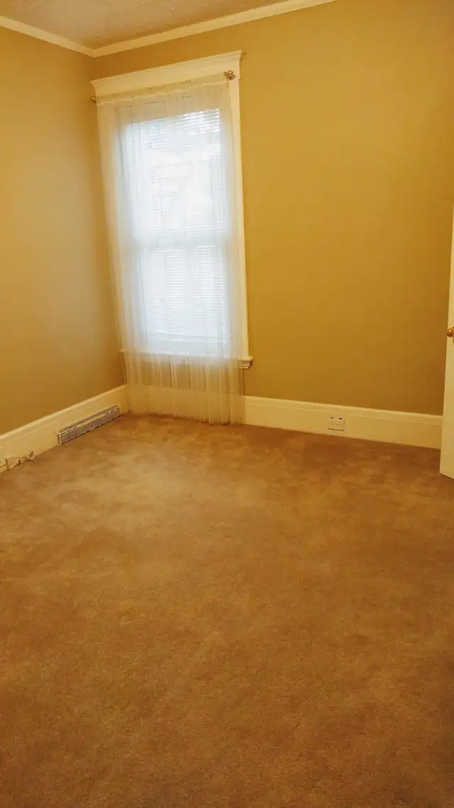 Large One Bedroom plus Den in Century Home - Photo 4