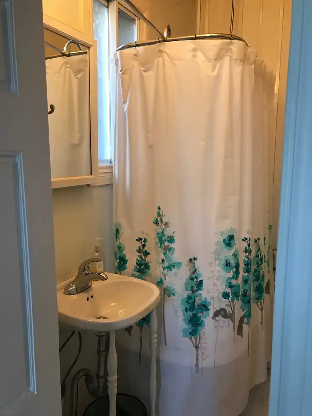 Large One Bedroom plus Den in Century Home - Photo 8