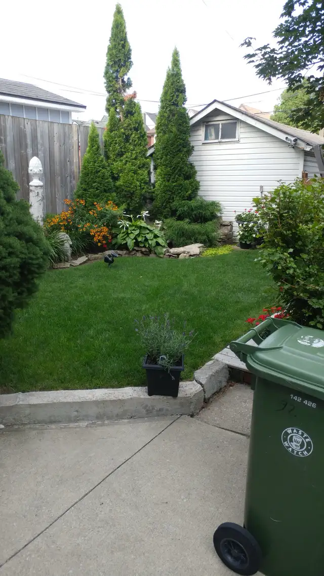 Large One Bedroom plus Den in Century Home - Photo 9