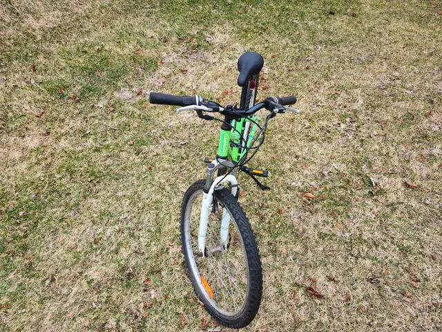 Girls Mountain Bike For Sale - Photo 5