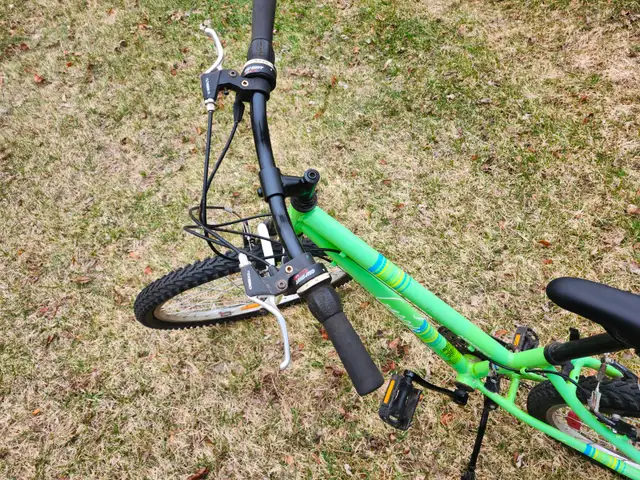 Girls Mountain Bike For Sale - Photo 9