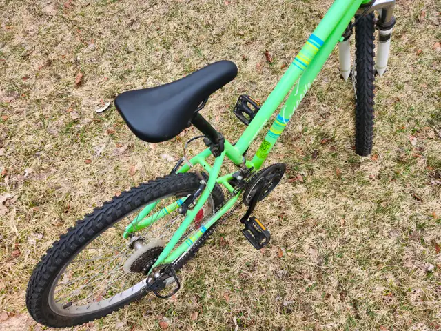 Girls Mountain Bike For Sale - Photo 10